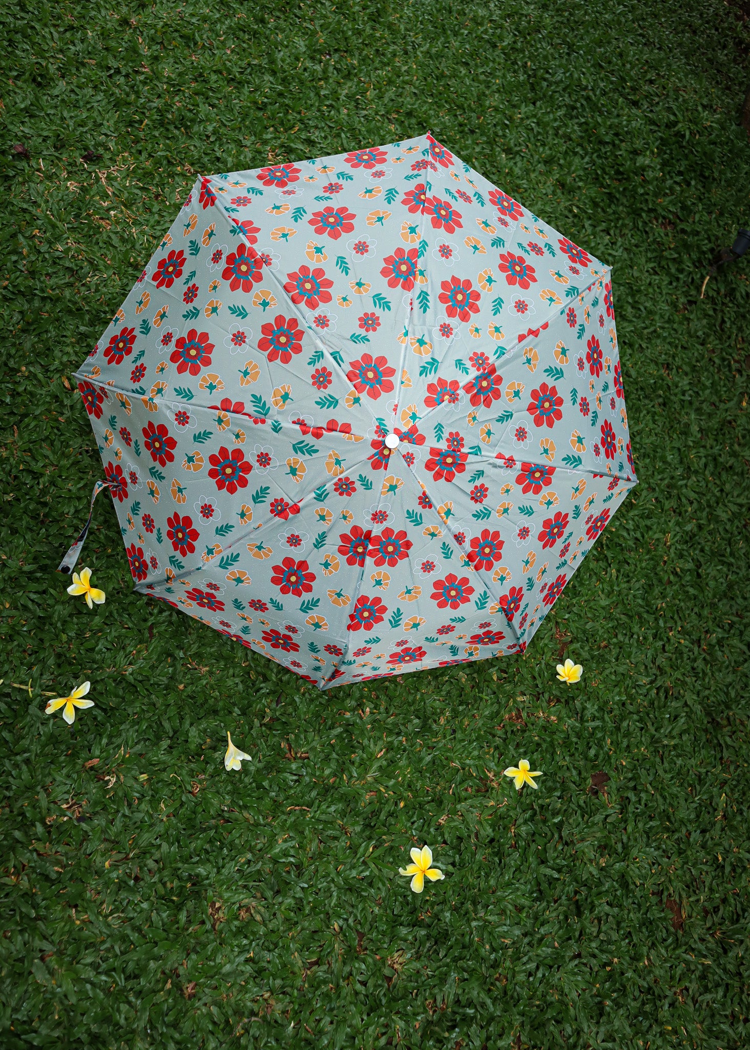 MUMBAI UMBRELLA